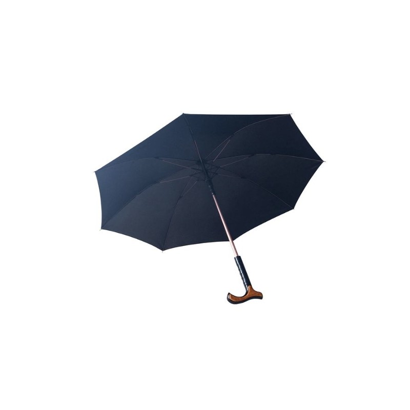 Canne / parapluie | 1pc