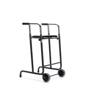 2-en-1 Rollateur et Cadre de Marche 250