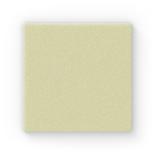 Exufiber Ag+ 15x15cm | 10st